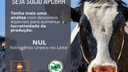 Análise NUL aumenta a produtividade e lucratividade